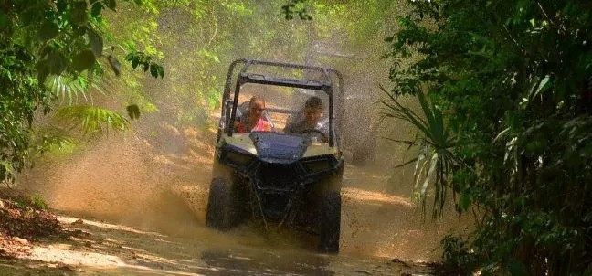Selvatica, Puerto Morelos