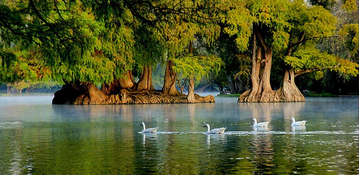 Camecuaro Lake (National Park)