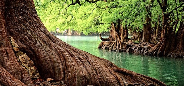 Lago de Camécuaro, Tangancícuaro