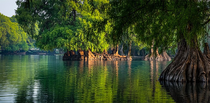 Lago de Camécuaro, Tangancícuaro