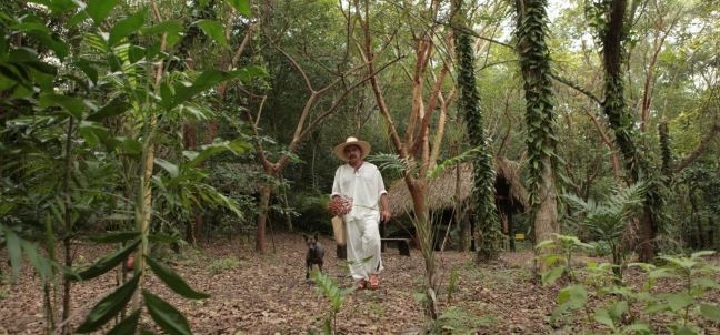 Eco Park Xanath, Papantla