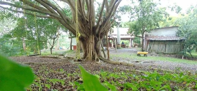 Eco Park Xanath, Papantla