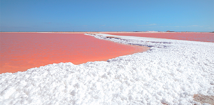 Las Coloradas, Tizimín