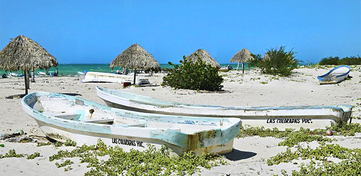 Las Coloradas, Tizimín