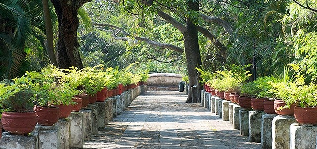 Centro Cultural Jardín Borda, Cuernavaca