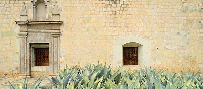 Templo de Santo Domingo, Oaxaca
