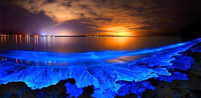 Laguna de Manialtepec, Puerto Escondido
