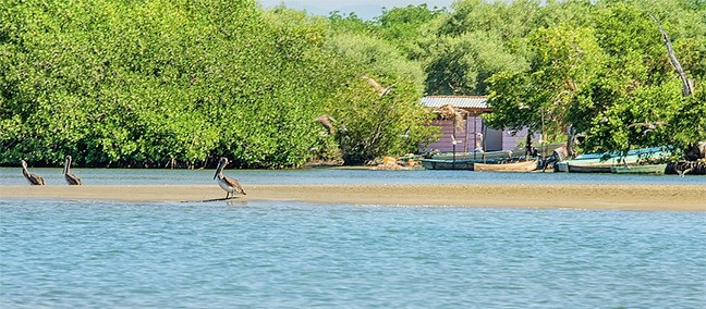 Parque Nacional Lagunas de Chacahua, Puerto Escondido