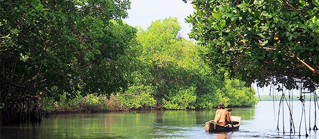 Parque Nacional Lagunas de Chacahua, Puerto Escondido