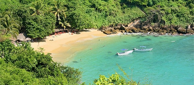 Playa Carrizalillo, Puerto Escondido