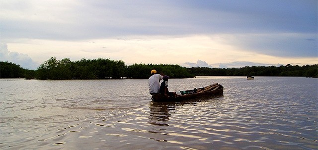 Estero San José, Los Cabos