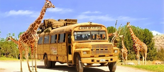 Africam Safari, Puebla