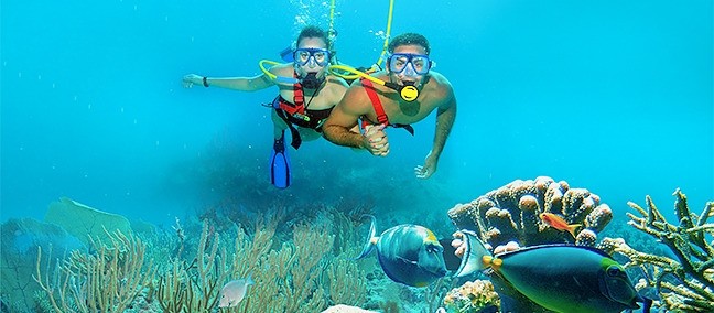 Xcaret, Cancún