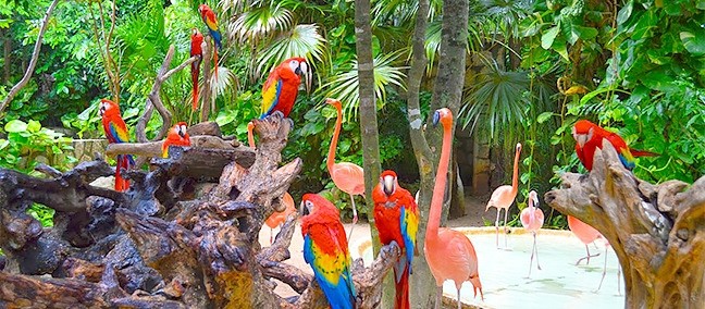 Xcaret, Cancún