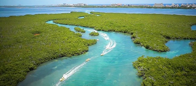 Jungle Tours, Cancún
