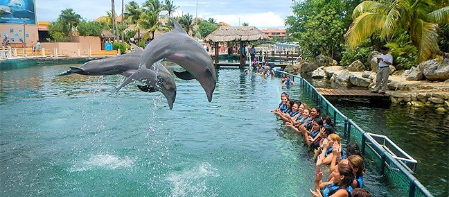 Parque Acuático El Garrafón, Cancún