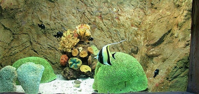 Gran Acuario Mazatlán, Mazatlán