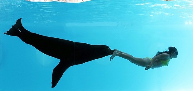 Gran Acuario Mazatlán, Mazatlán