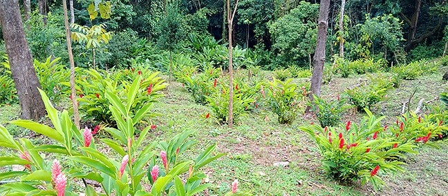 Eco Parque Agua Selva, Huimanguillo