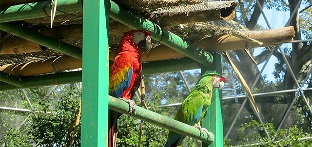 Parque Museo la Venta, Villahermosa