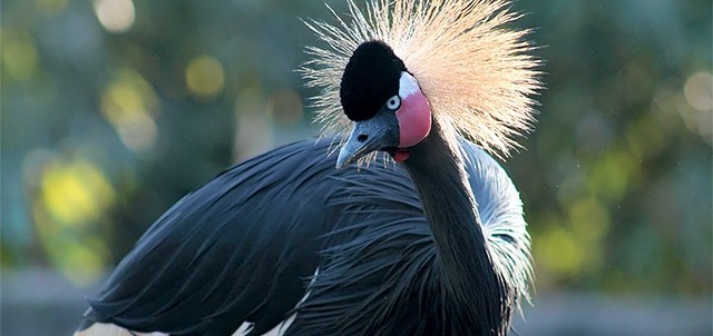 Zoológico Tamatán, Ciudad Victoria