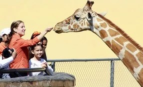 Zoológico Tamatán
