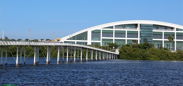 Laguna del Carpintero, Tampico