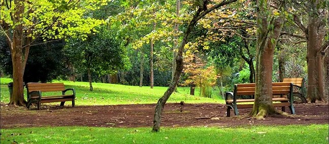Jardín Botánico Francisco Javier Clavijero, Xalapa