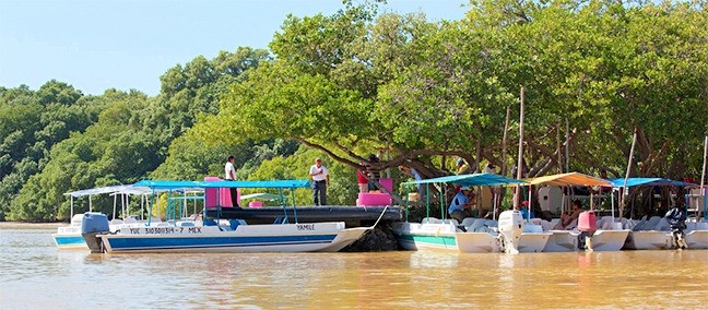 Celestún, Mérida