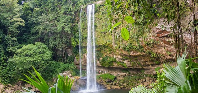 Cascada de Misol Ha, Palenque