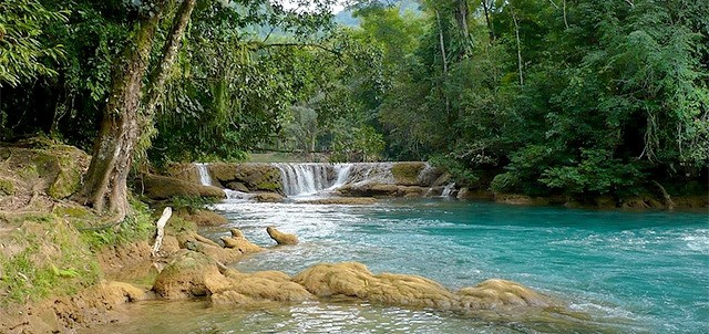 Cascadas de Agua Azul, Palenque