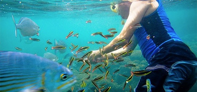 Isla Ixtapa, Ixtapa / Zihuatanejo