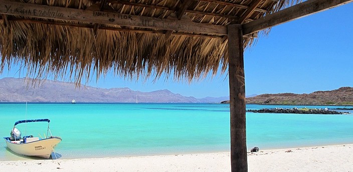 Tour en lancha a Isla Coronado