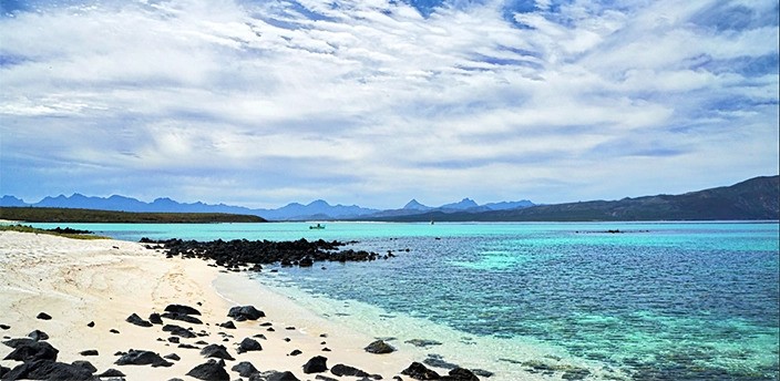 Tour en lancha a Isla Coronado, Loreto