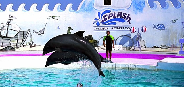 Splash