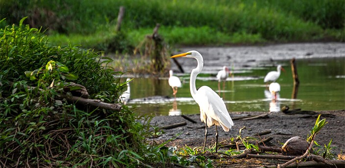 Laguna de Coyuca, Acapulco
