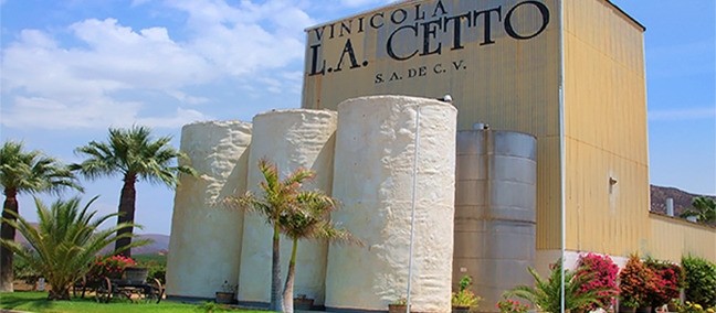 L. A. Cetto, Valle de Guadalupe