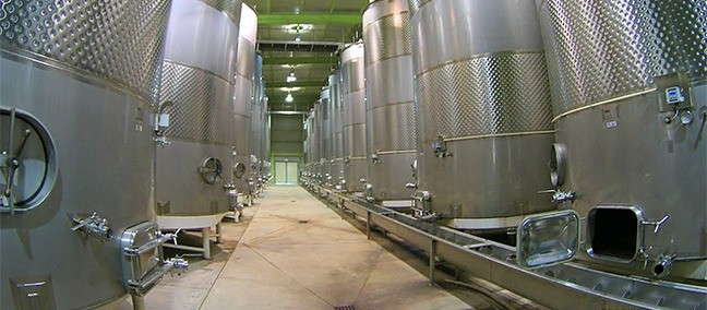 L. A. Cetto, Valle de Guadalupe