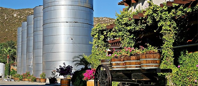 L. A. Cetto, Valle de Guadalupe
