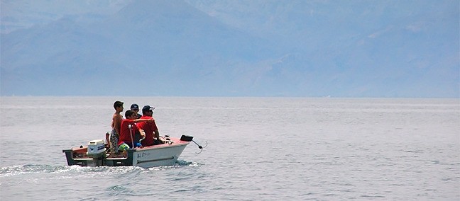 Avistamiento de Ballenas, Loreto
