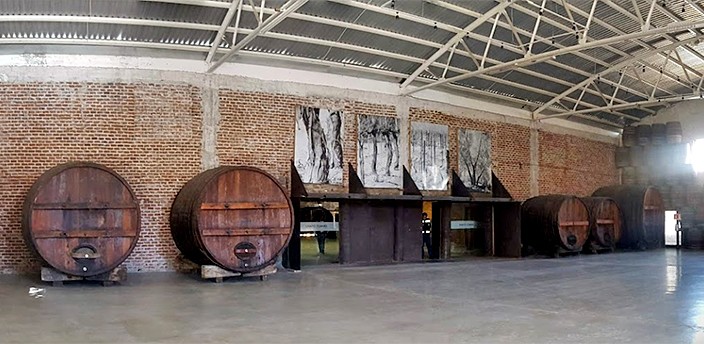 Bodegas de Santo Tomás, Ensenada