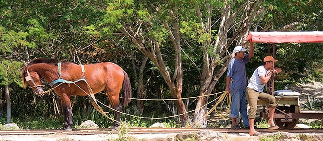Truck ( Cenotes de Cuzamá ), Mérida