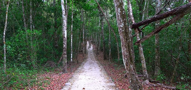 Zona Arqueológica Calakmul, Xpujil