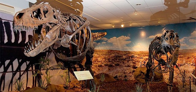 Museo Regional de la Laguna, Torreón