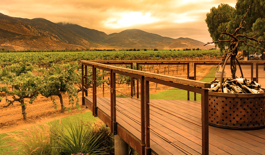 The Wine Route