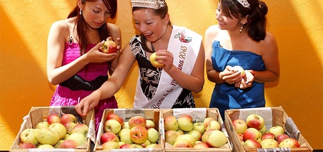 Feria de la Manzana Zacatlán, Zacatlán