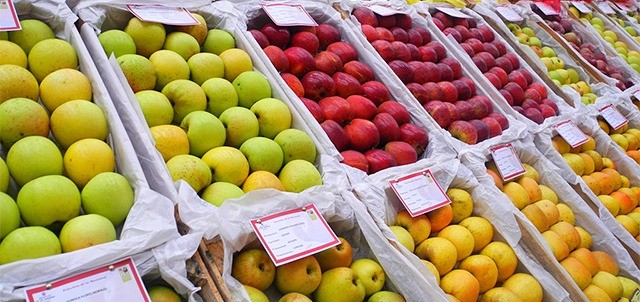 Feria de la Manzana Zacatlán, Zacatlán