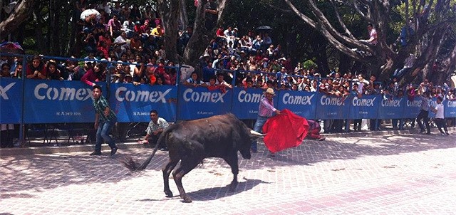Festival Marquesada, Salvatierra