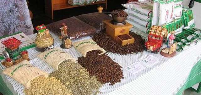 Feria del Café, Coatepec