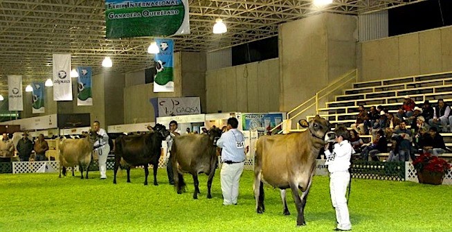 Feria Ganadera de Querétaro, Querétaro